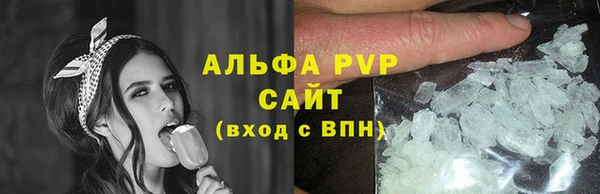гашик Алексин