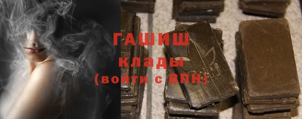 гашик Алексин