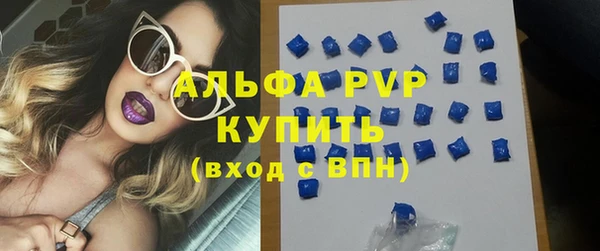 гашик Алексин