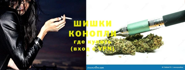 гашик Алексин