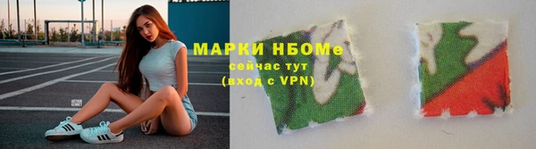 гашик Алексин