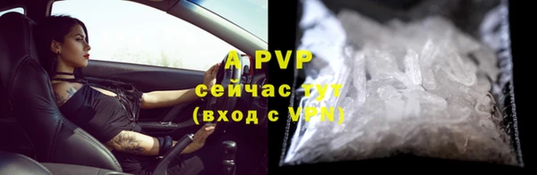 гашик Алексин