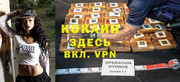 гашик Алексин