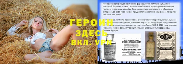 гашик Алексин