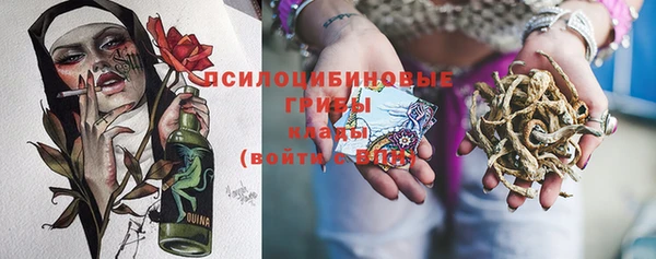 гашик Алексин