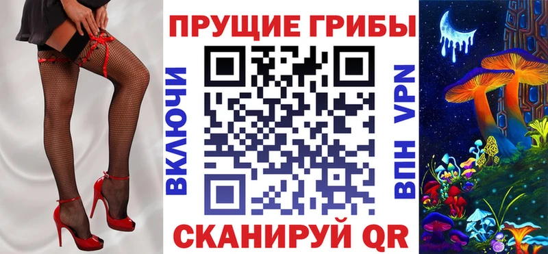 Галлюциногенные грибы Cubensis  где купить   Топки 