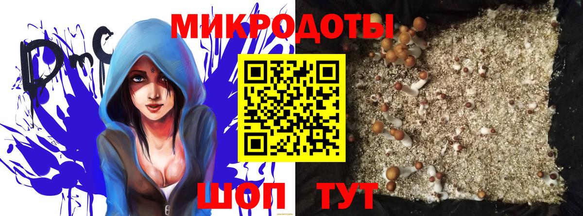 Псилоцибиновые грибы мицелий Топки