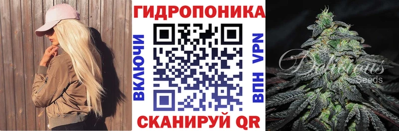 Конопля OG Kush  Топки 